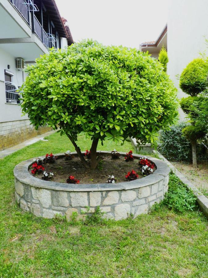 Yannis Apartments Afytos Exterior photo